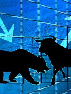 Stock market bear and bull