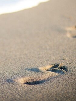 Big Money Footprints