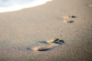 Big Money Footprints